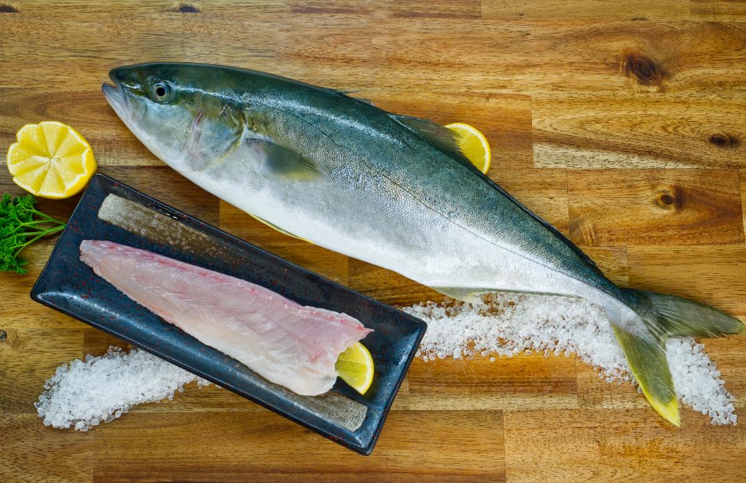 https://www.adelaideseafood.com.au/wp-content/uploads/2022/04/King-Fish.jpg