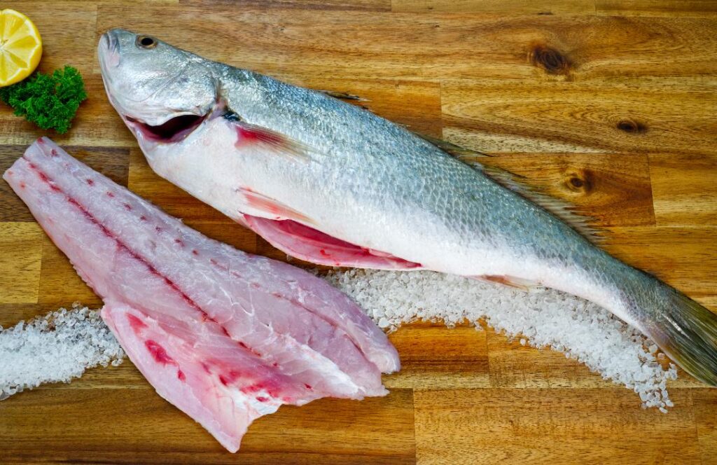 Mulloway Adelaide Seafood
