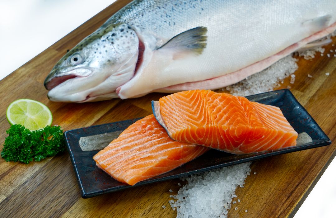 Atlantic Salmon Atlantic Salmon