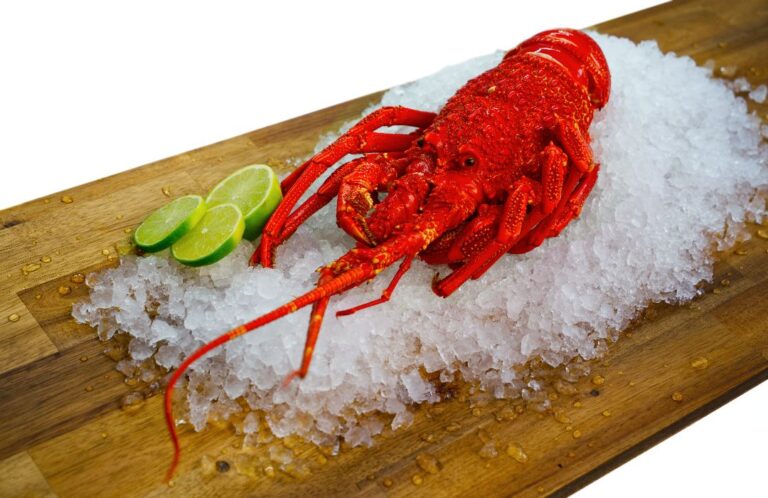 Southern Rock Lobster (Cooked) - Adelaide Seafood