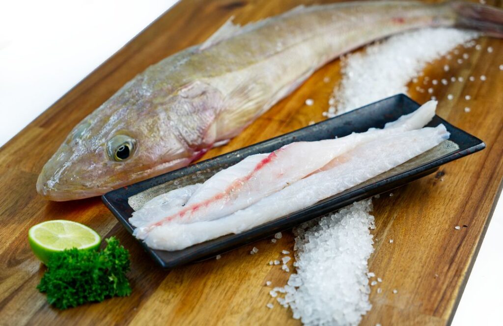 Australian Flathead Fish Delivery Adelaide Adelaide Seafood