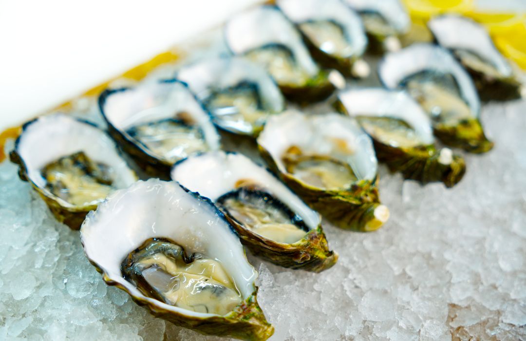 Oysters Open fresh oysters Adelaide