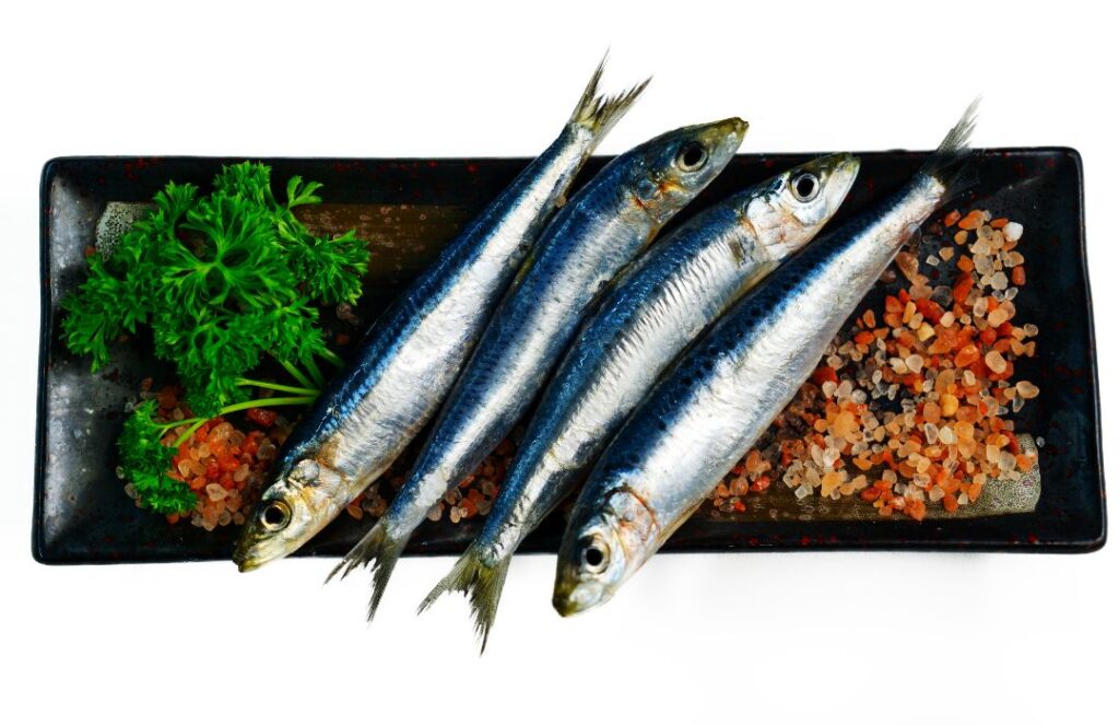 Sardine Adelaide Seafood