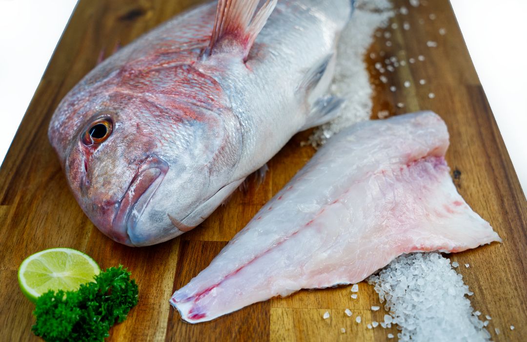 Snapper buy fish online