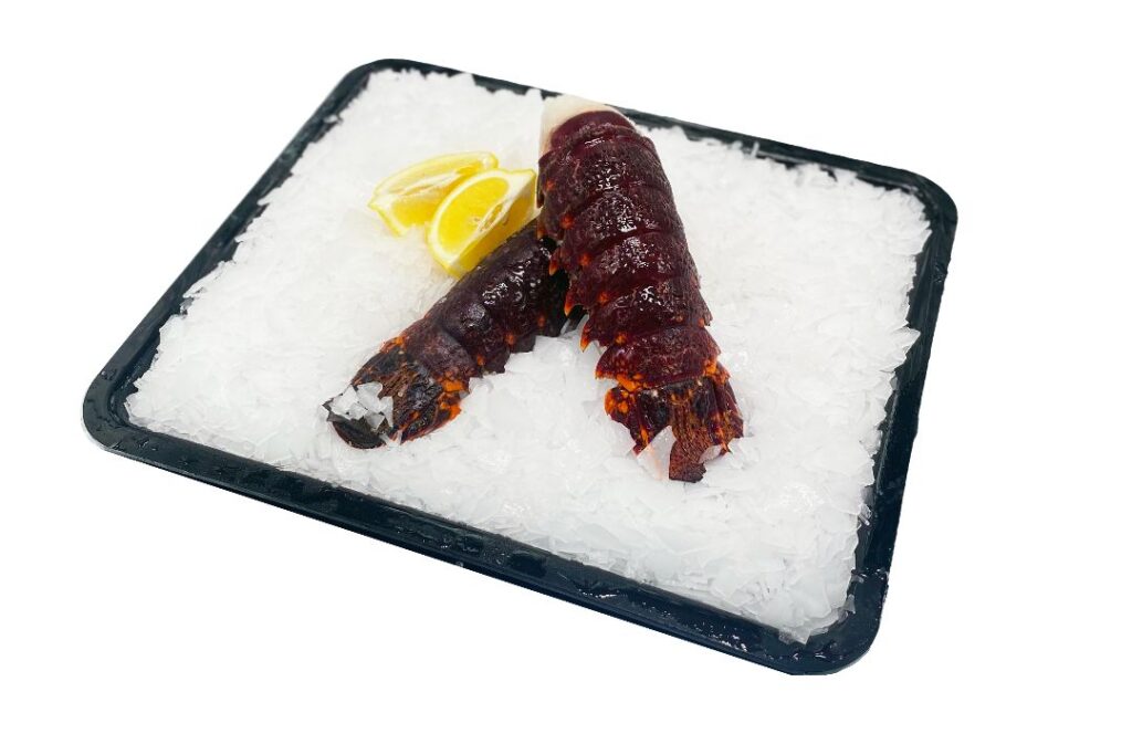 Southern Rock Lobster Tail Adelaide Seafood