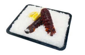 Southern Rock Lobster Tail - Adelaide Seafood