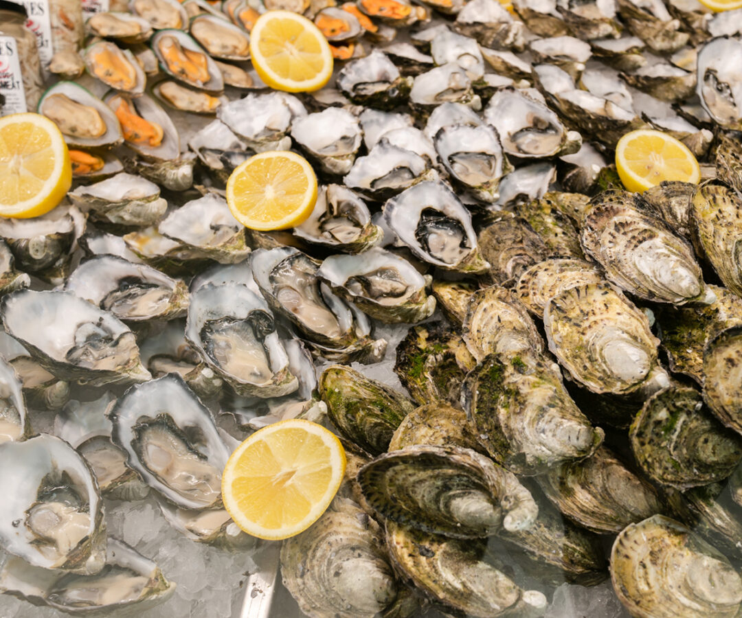 Adelaide Seafood Fish Shop Freshest Seafood Delivered To You