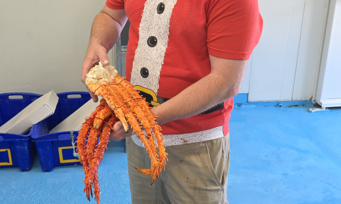 Alaskan King Crab Claws